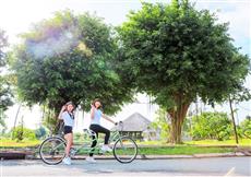 Bông Hồng vàng tài năng, nhân hậu